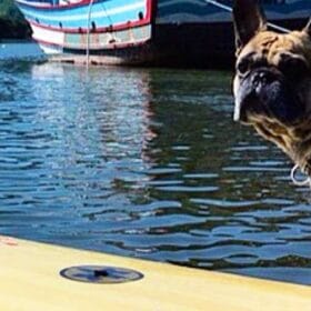 Prancha de Standup 20 kaneca-stand-up-paddle prancha para pet